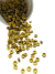 dourado